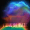 Tyler Shamy - I Think You Love Me - Single